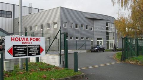 Pendant sa fermeture, Holvia Porc s’est appuyée sur d’autres abattoirs. Cette mesure a permis de limiter l’attente en élevage et la baisse d’activité.